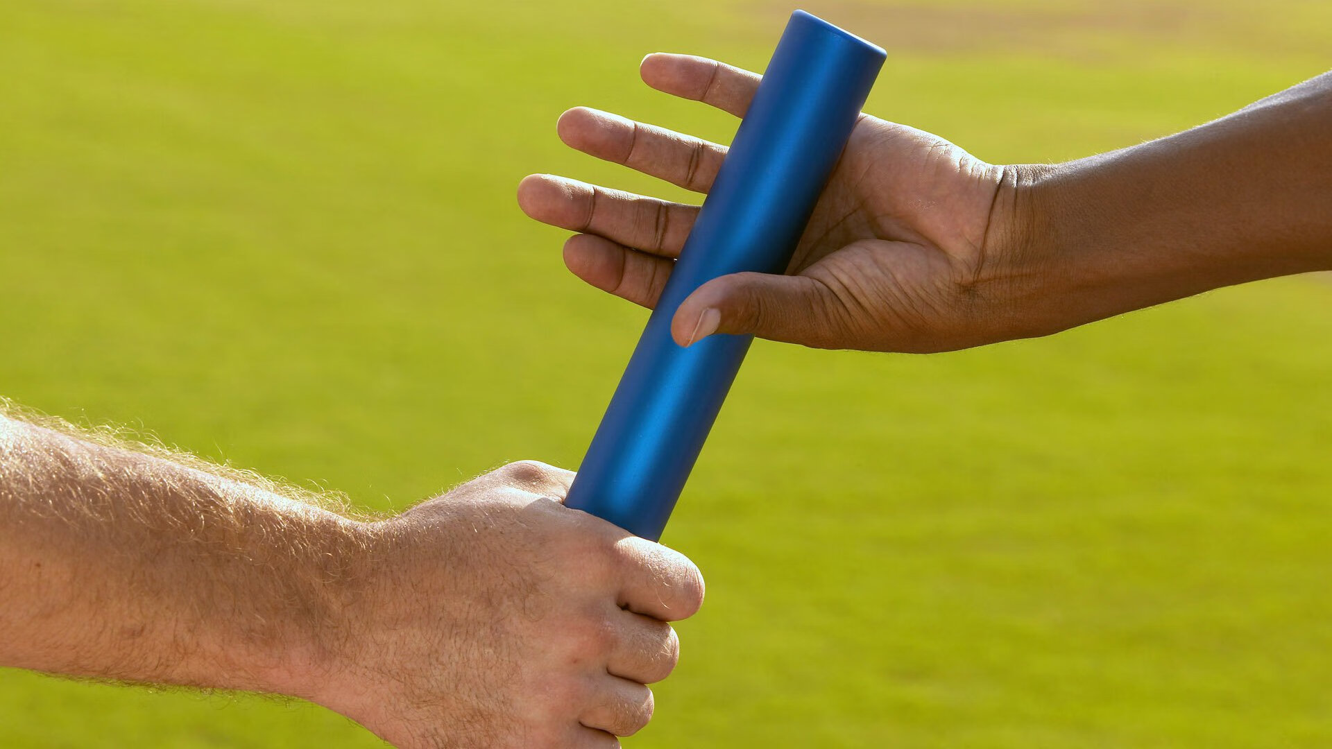 2026世界杯:全新场馆设计融合绿色环保与高科技元素,世界杯预选赛 场馆